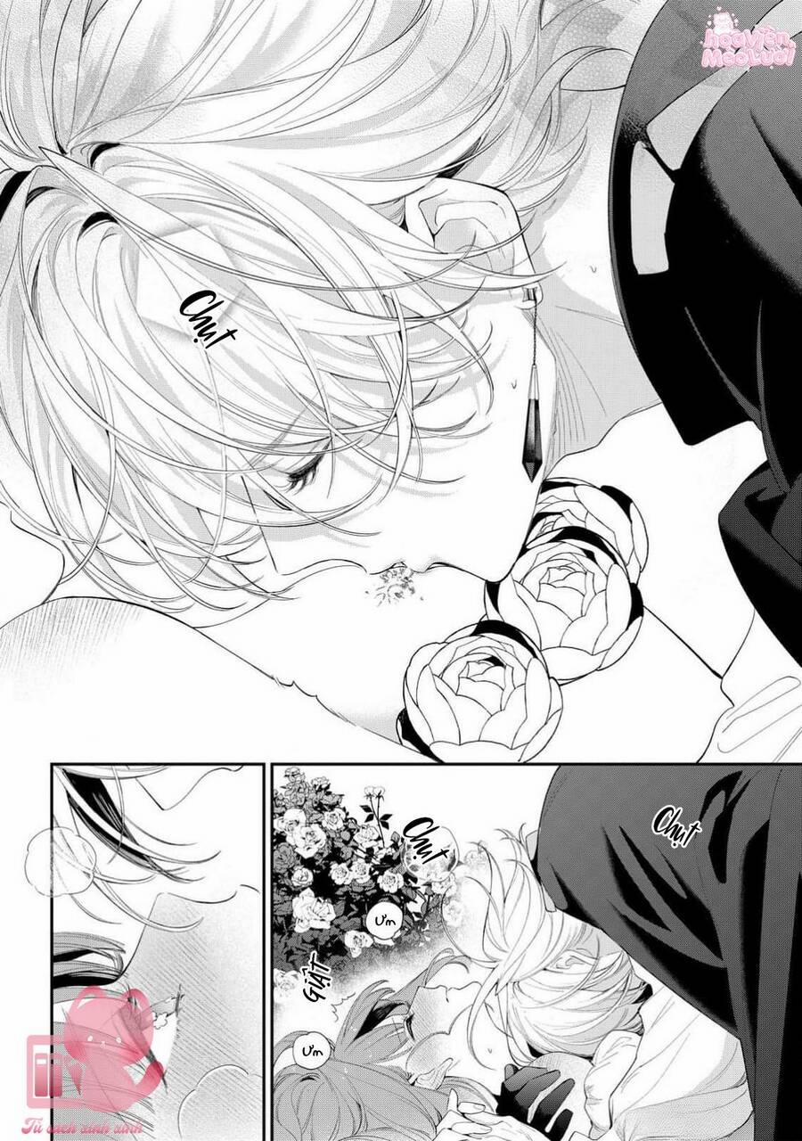 Hoa Hồng Ẩn Giấu Sao Băng 14 trang 26