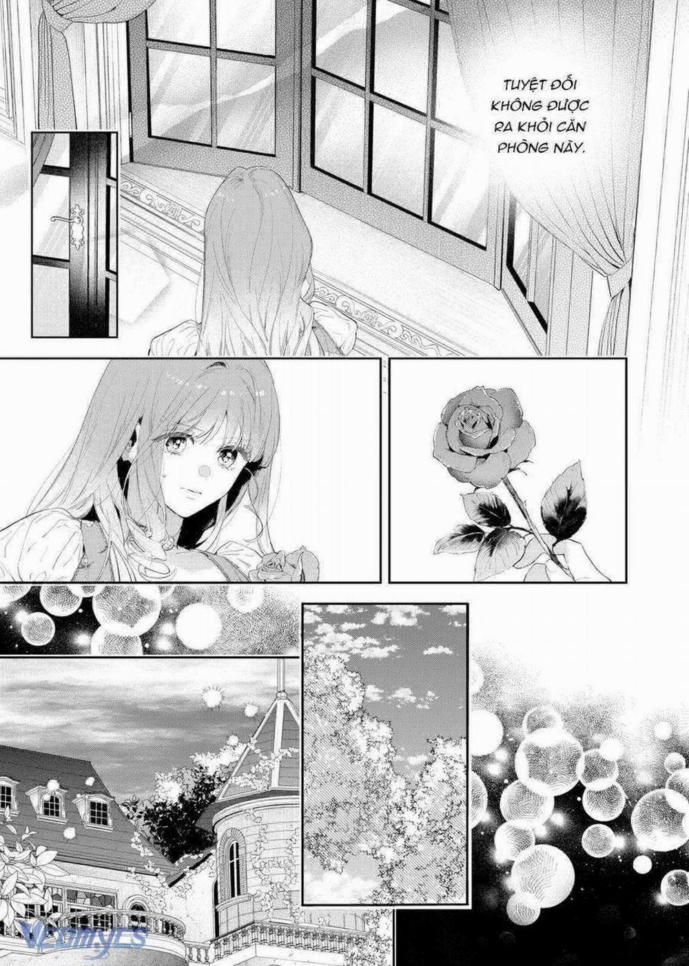 Hoa Hồng Ẩn Giấu Sao Băng 4 trang 12