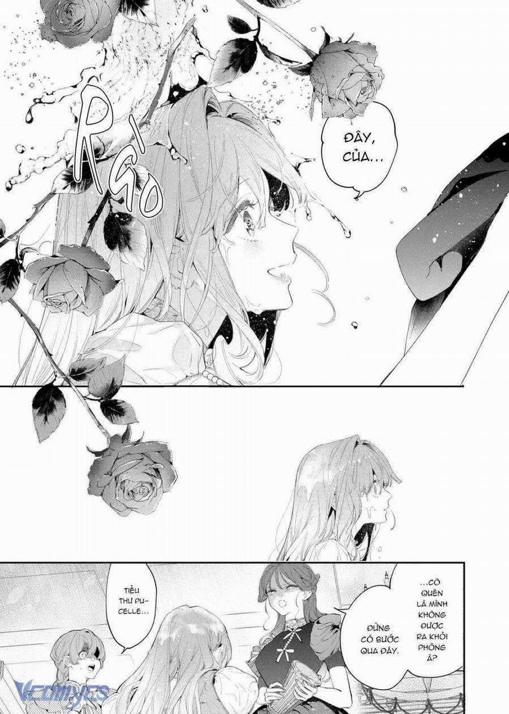 Hoa Hồng Ẩn Giấu Sao Băng 4 trang 6