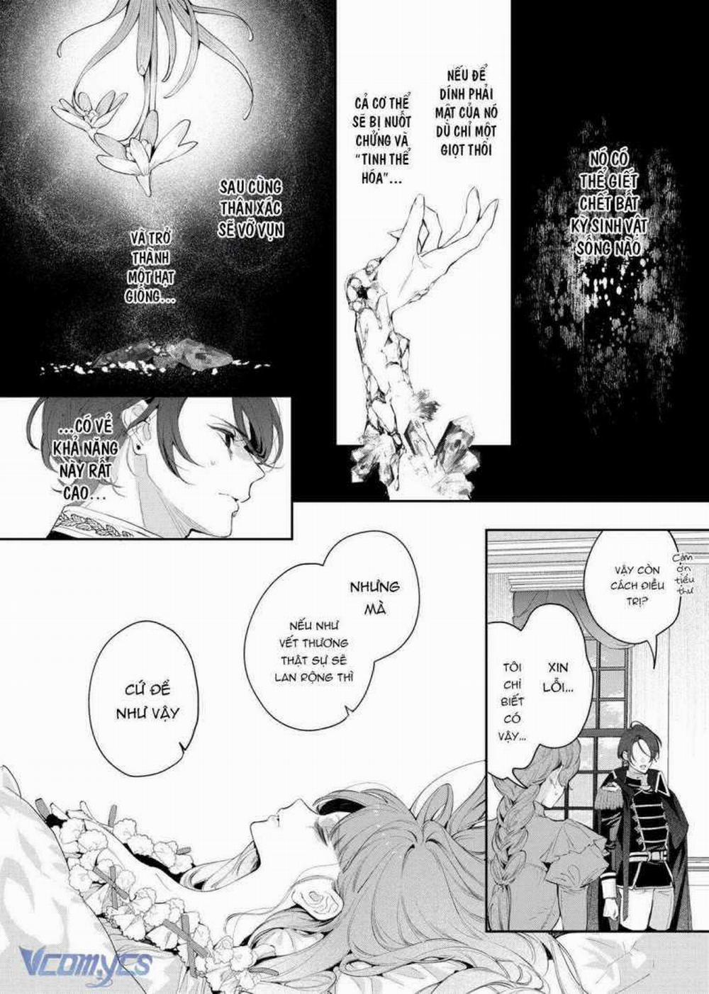 Hoa Hồng Ẩn Giấu Sao Băng 6 trang 26