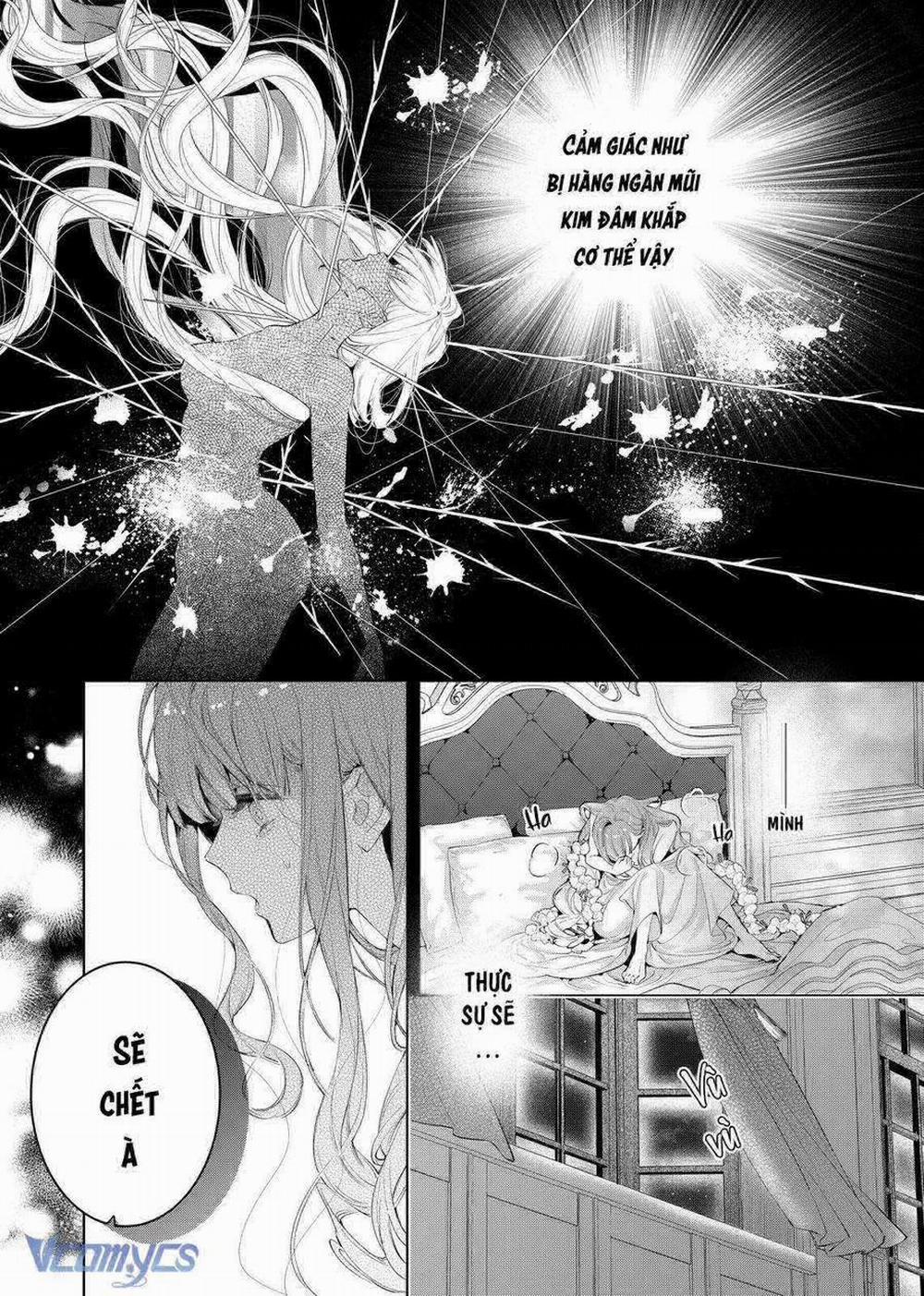 Hoa Hồng Ẩn Giấu Sao Băng 7 trang 6