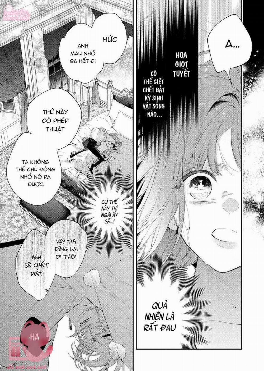 Hoa Hồng Ẩn Giấu Sao Băng 8 trang 12