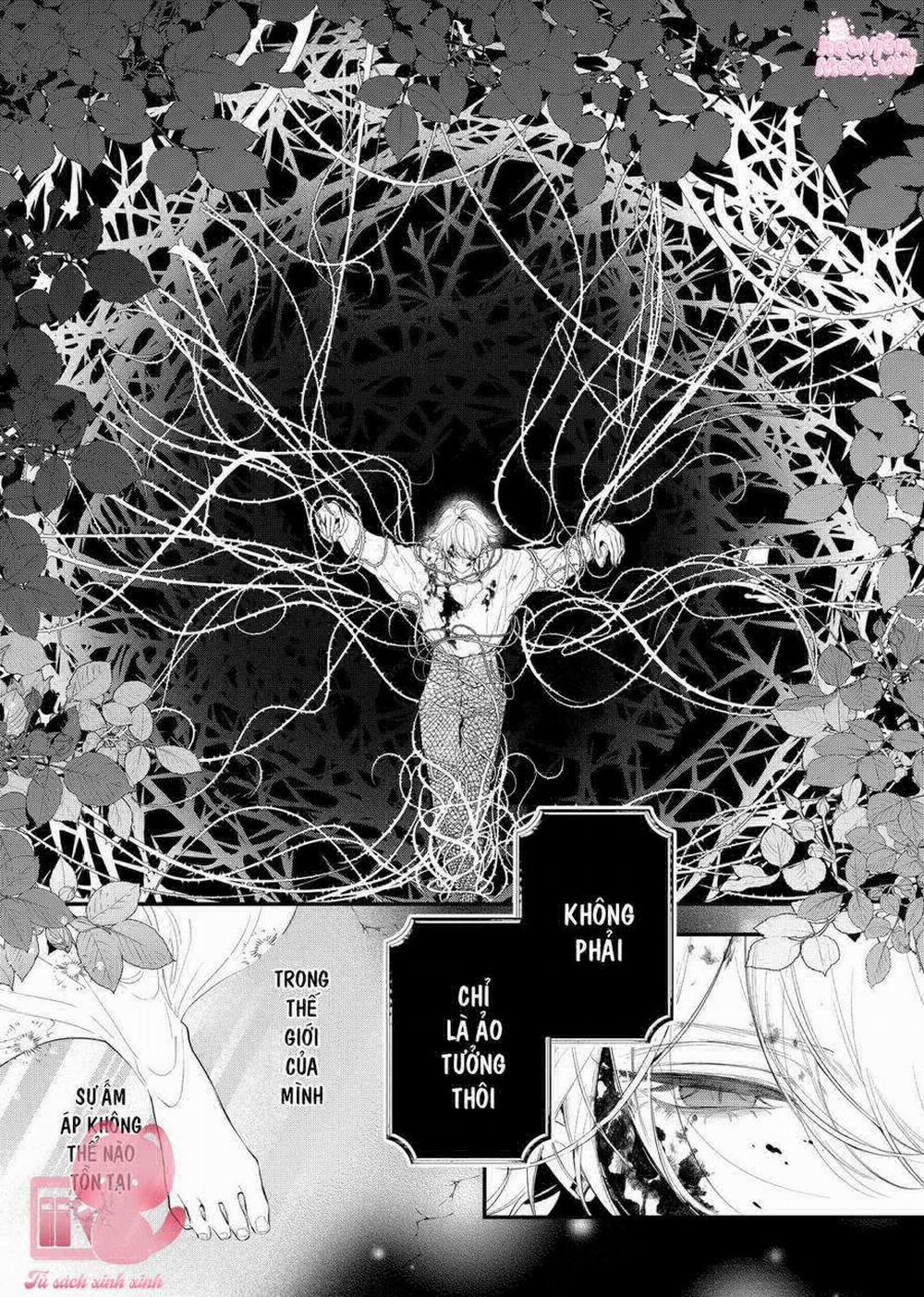 Hoa Hồng Ẩn Giấu Sao Băng 8 trang 17
