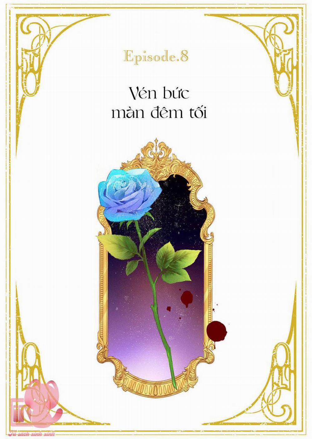 Hoa Hồng Ẩn Giấu Sao Băng 8 trang 3