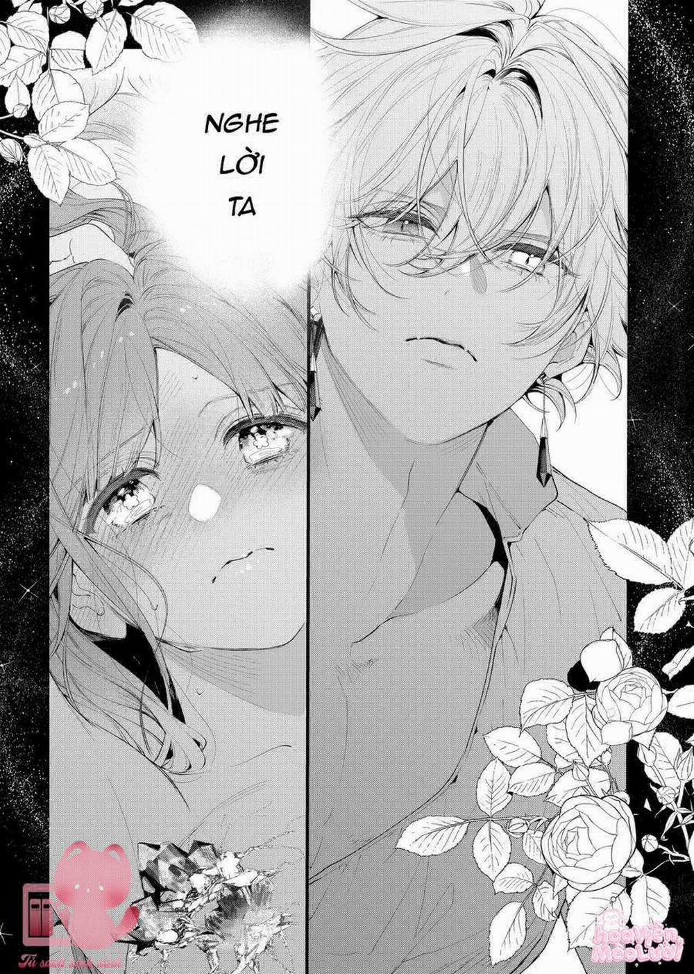 Hoa Hồng Ẩn Giấu Sao Băng 8 trang 4