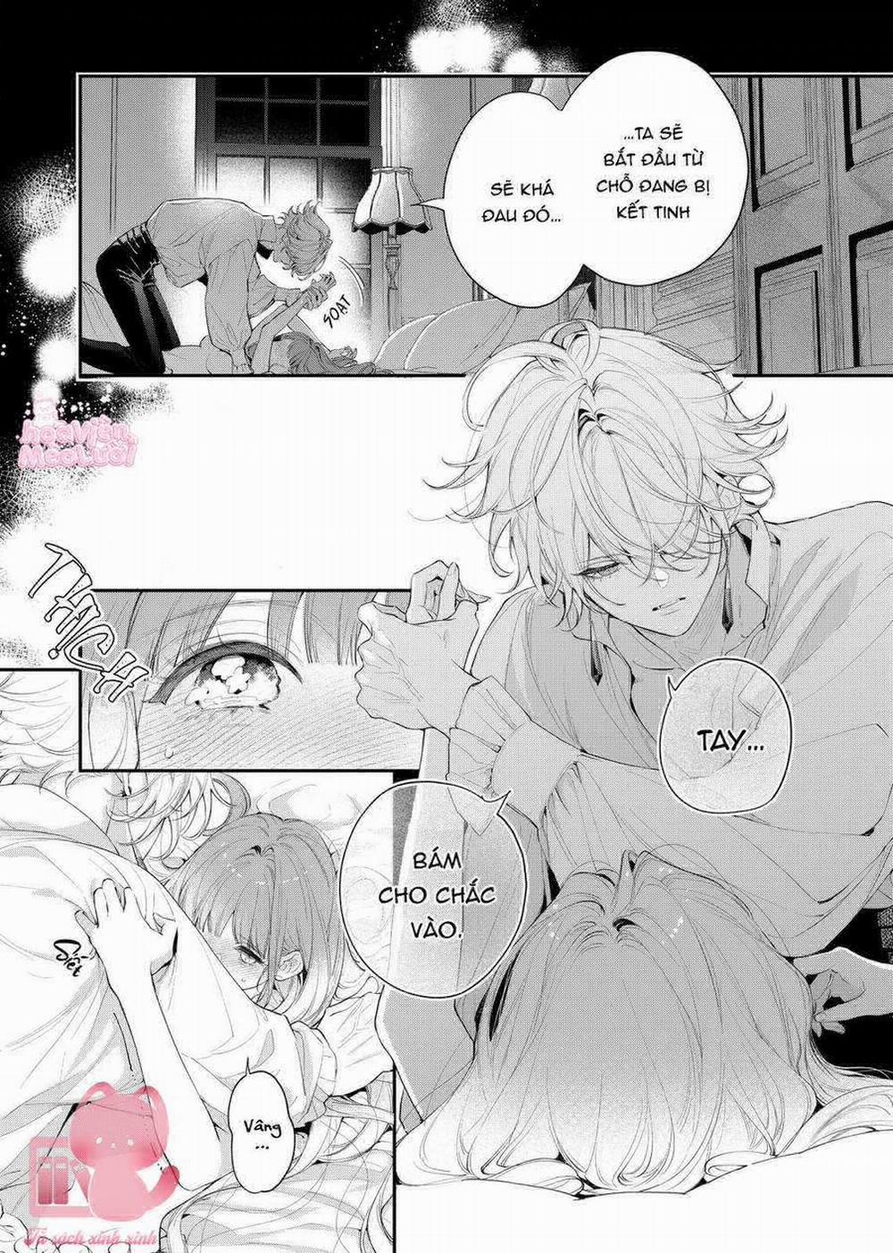 Hoa Hồng Ẩn Giấu Sao Băng 8 trang 7