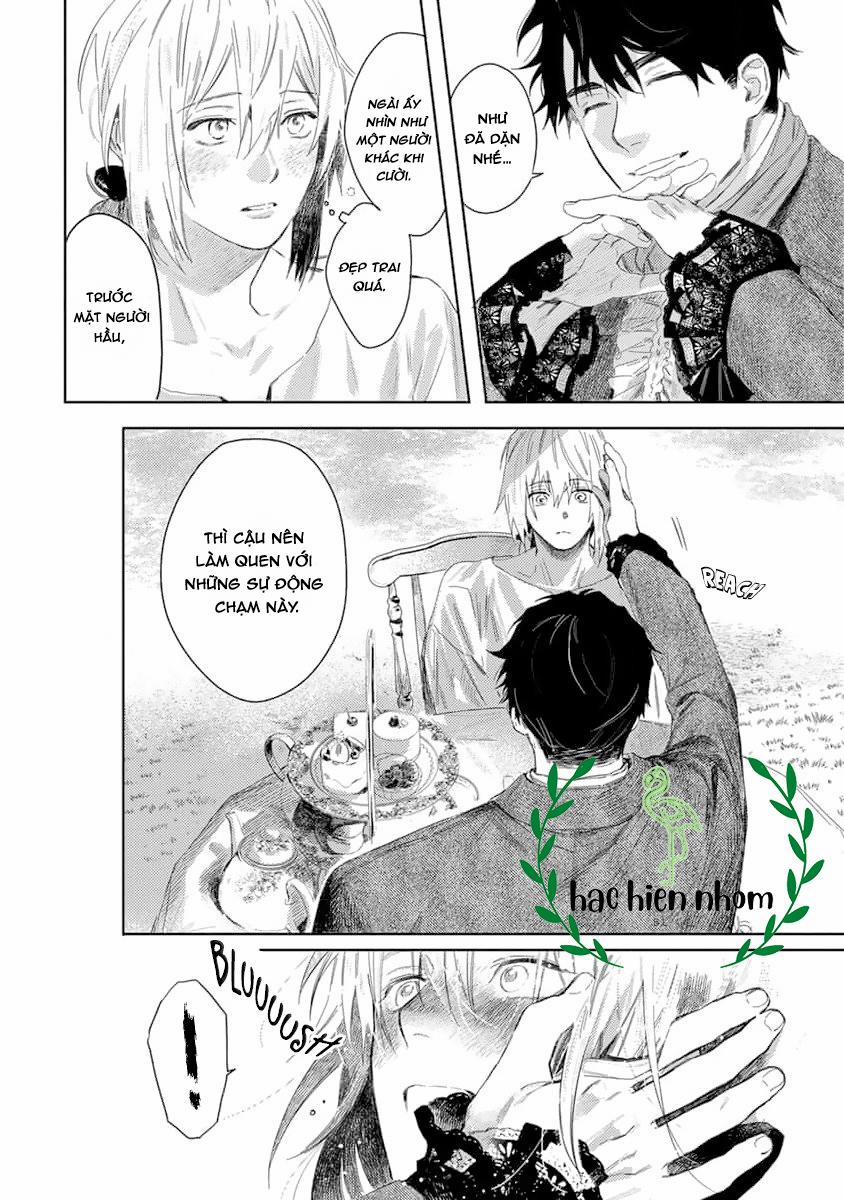 Hoa Hồng Dại Và Những Kẻ Giả Tạo 2 trang 15