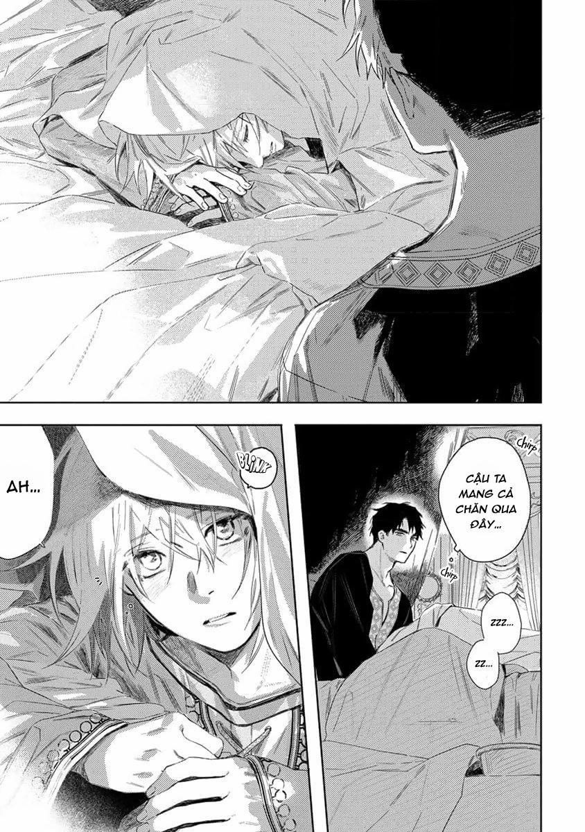 Hoa Hồng Dại Và Những Kẻ Giả Tạo 2 trang 36