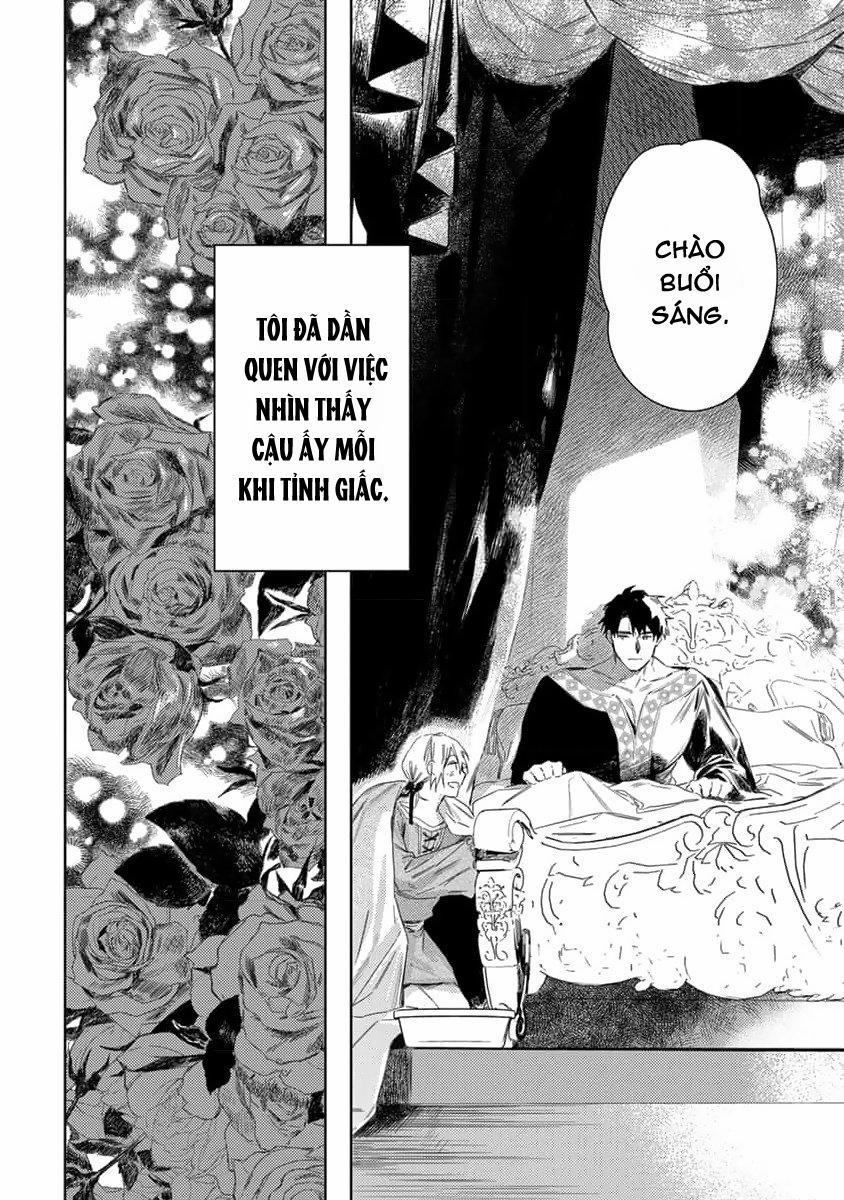 Hoa Hồng Dại Và Những Kẻ Giả Tạo 2 trang 37