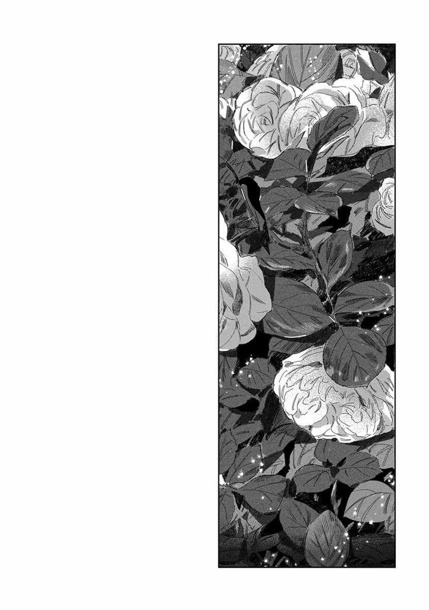 Hoa Hồng Dại Và Những Kẻ Giả Tạo 3 trang 29