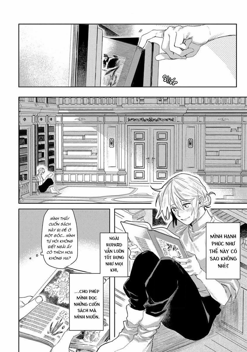 Hoa Hồng Dại Và Những Kẻ Giả Tạo 3 trang 7