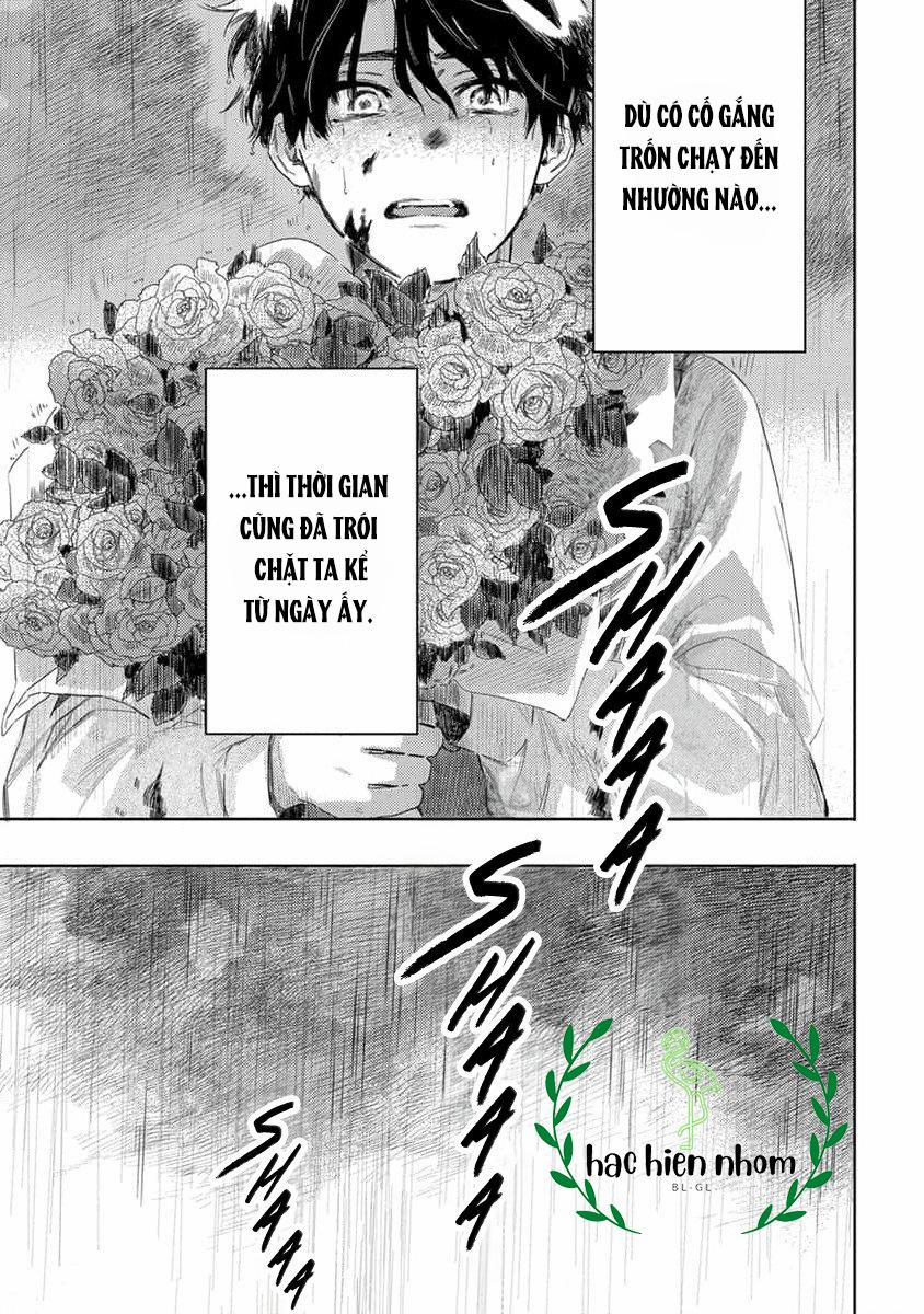 Hoa Hồng Dại Và Những Kẻ Giả Tạo 4 trang 20