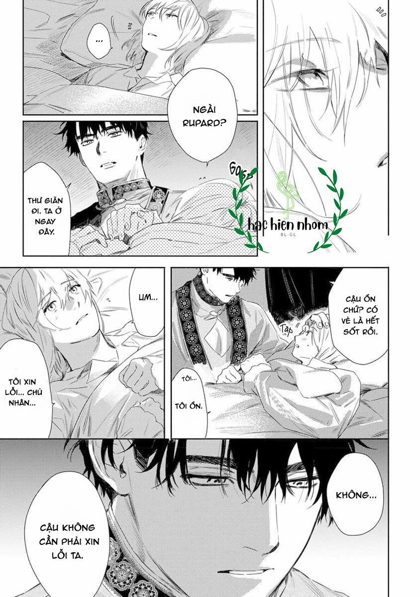 Hoa Hồng Dại Và Những Kẻ Giả Tạo 4 trang 28