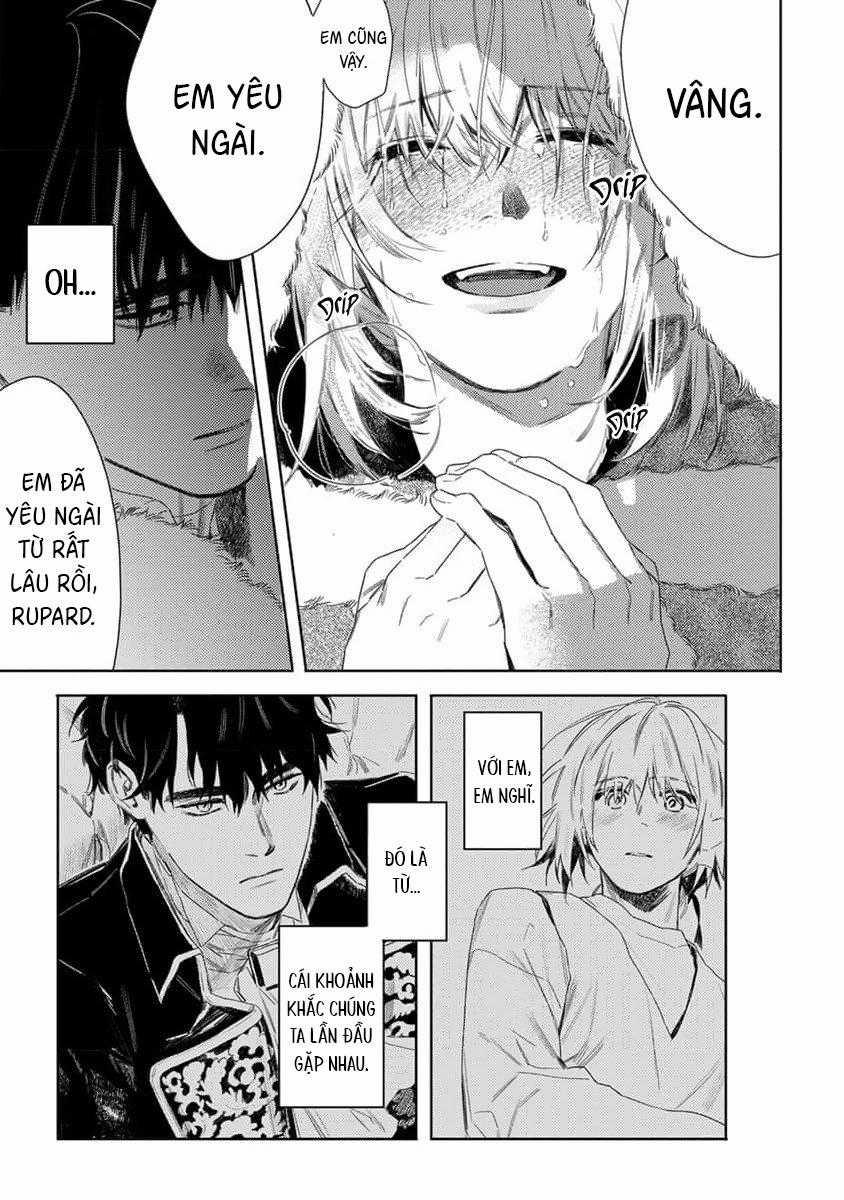 Hoa Hồng Dại Và Những Kẻ Giả Tạo 6 trang 21
