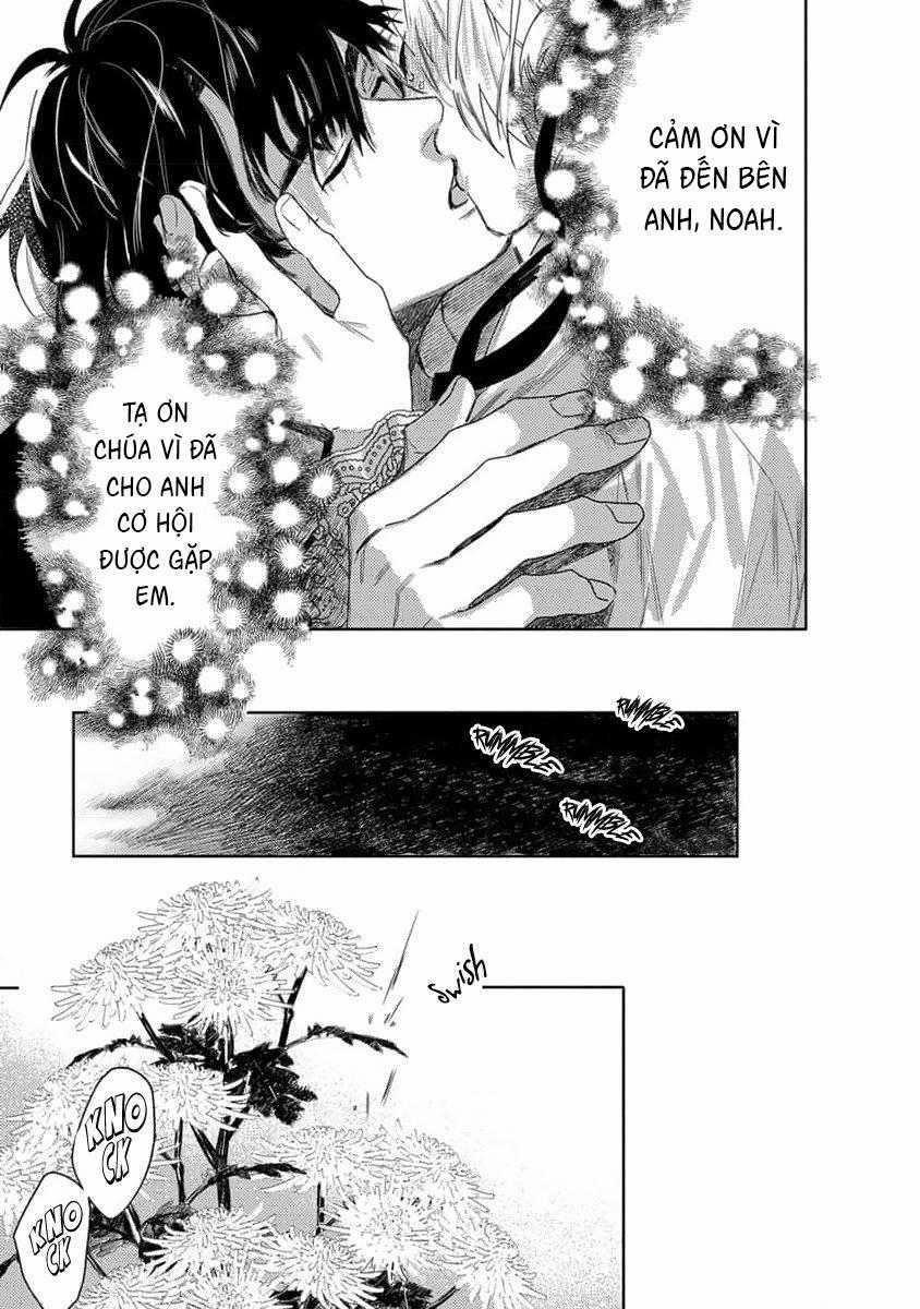 Hoa Hồng Dại Và Những Kẻ Giả Tạo 6 trang 35