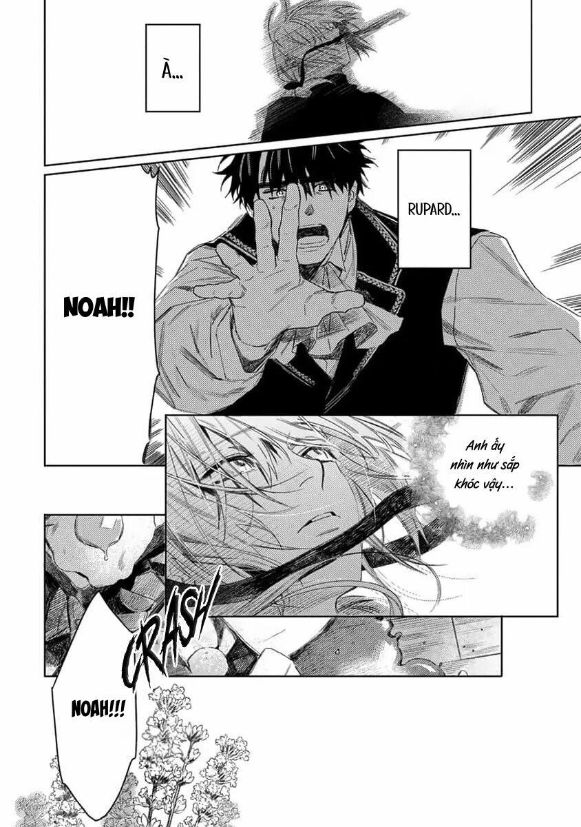 Hoa Hồng Dại Và Những Kẻ Giả Tạo 7 trang 11