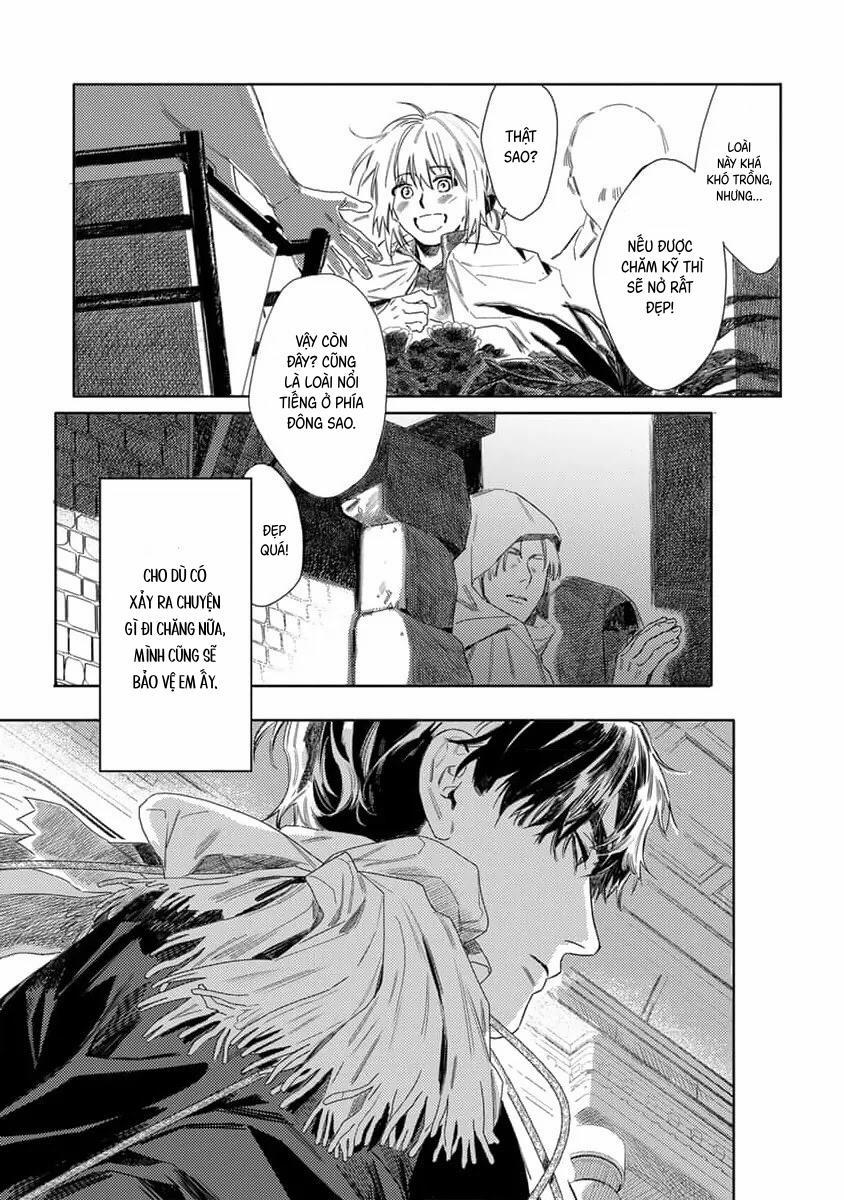 Hoa Hồng Dại Và Những Kẻ Giả Tạo 7 trang 34