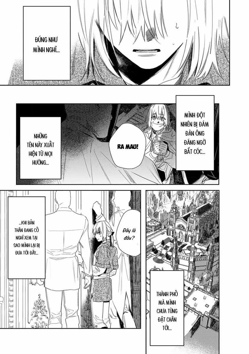 Hoa Hồng Dại Và Những Kẻ Giả Tạo 7 trang 36