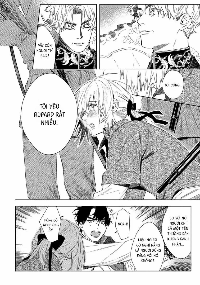 Hoa Hồng Dại Và Những Kẻ Giả Tạo 8 trang 12