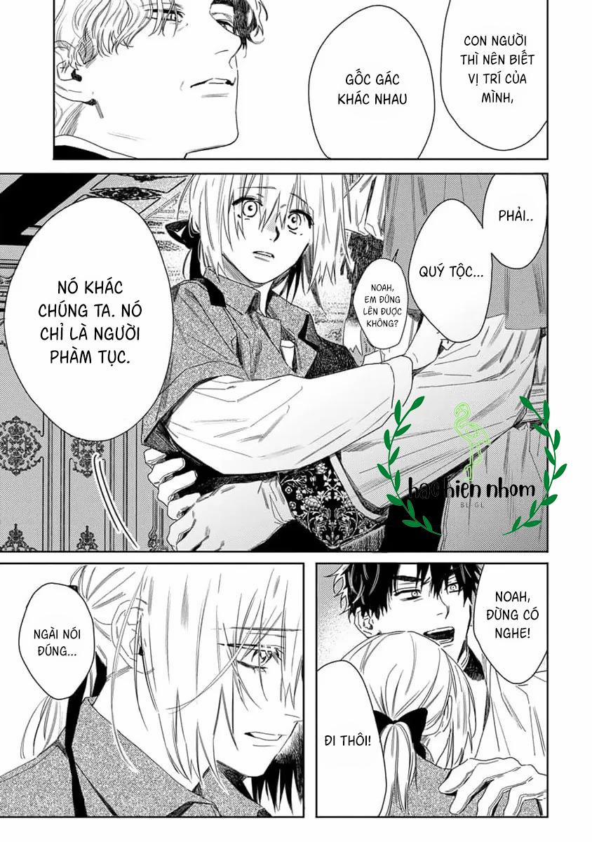 Hoa Hồng Dại Và Những Kẻ Giả Tạo 8 trang 15