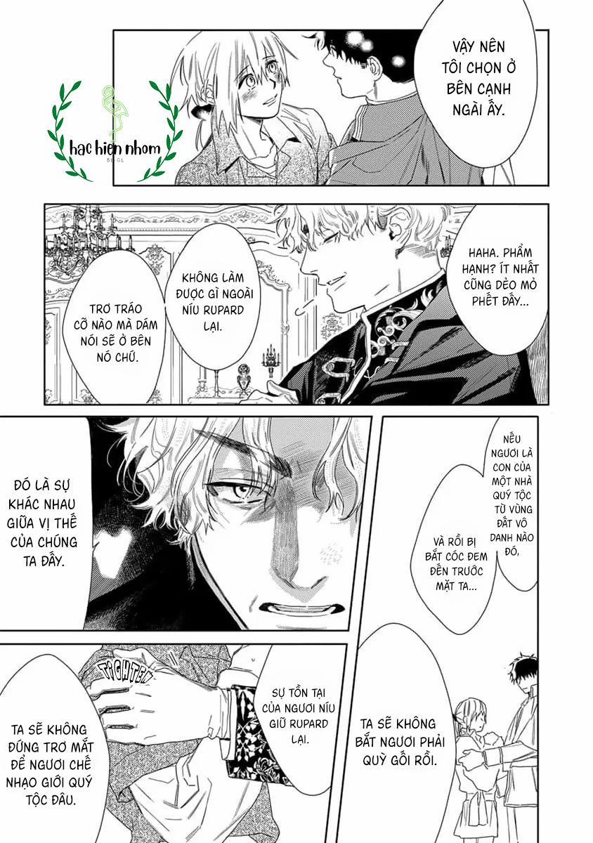Hoa Hồng Dại Và Những Kẻ Giả Tạo 8 trang 17