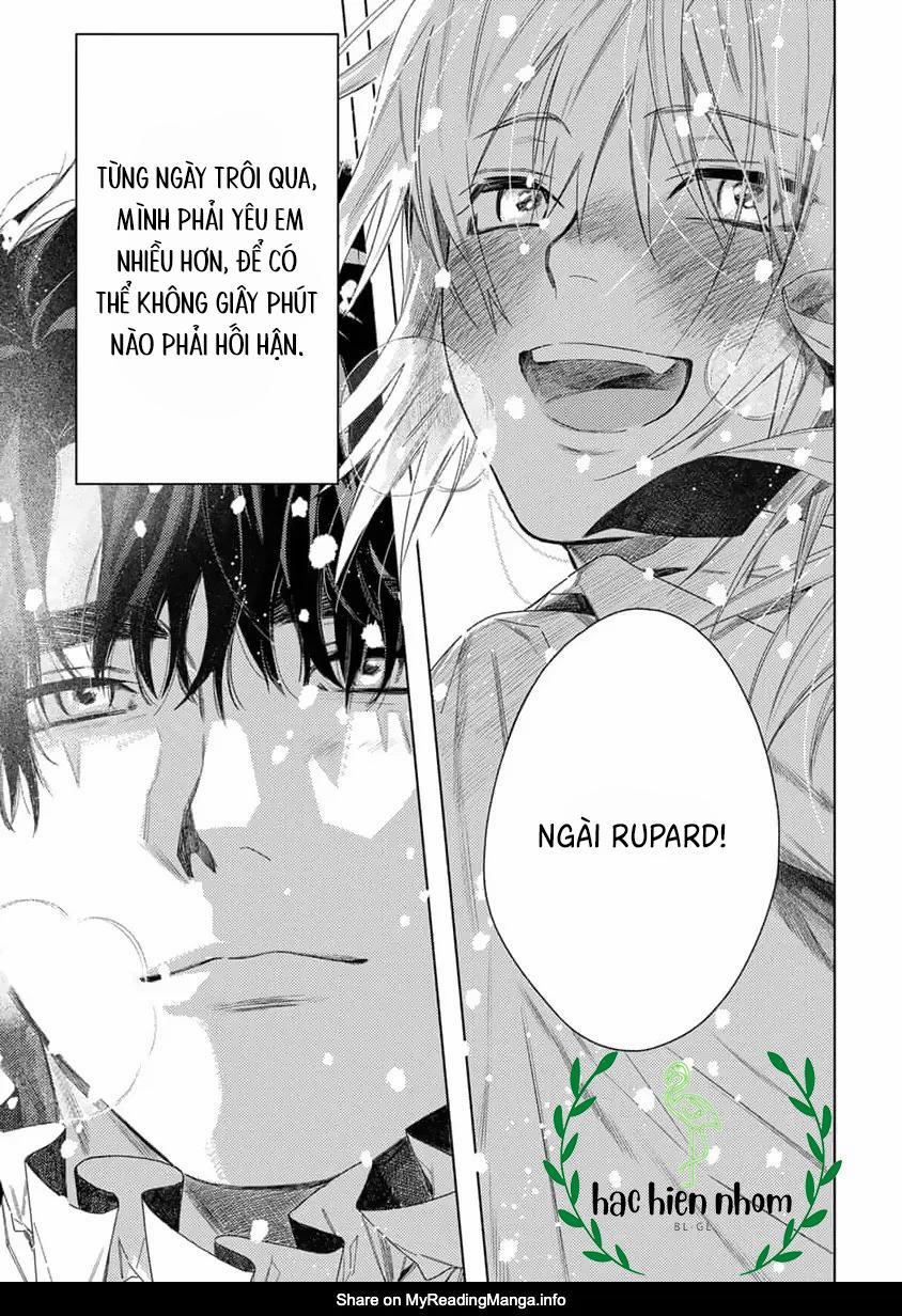 Hoa Hồng Dại Và Những Kẻ Giả Tạo 9.5 trang 12