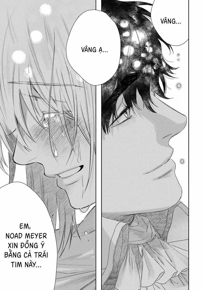 Hoa Hồng Dại Và Những Kẻ Giả Tạo 9 trang 18