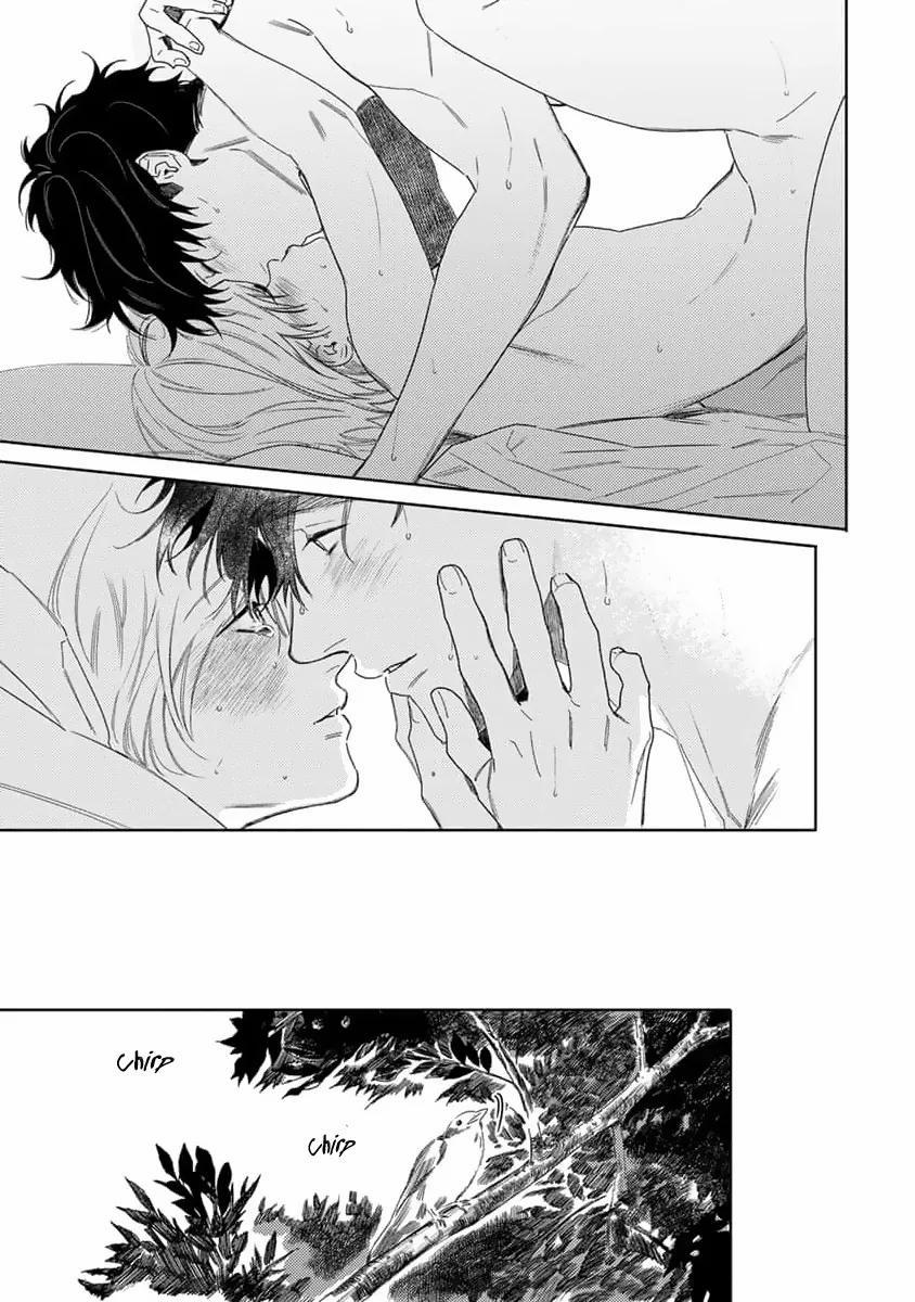 Hoa Hồng Dại Và Những Kẻ Giả Tạo 9 trang 23