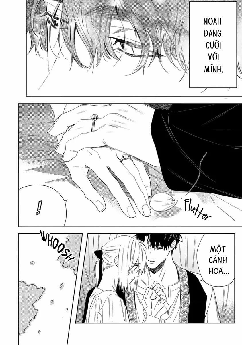 Hoa Hồng Dại Và Những Kẻ Giả Tạo 9 trang 26