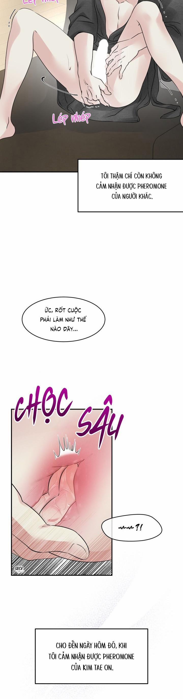 HOA KHÔNG HƯƠNG 6 0 trang 23