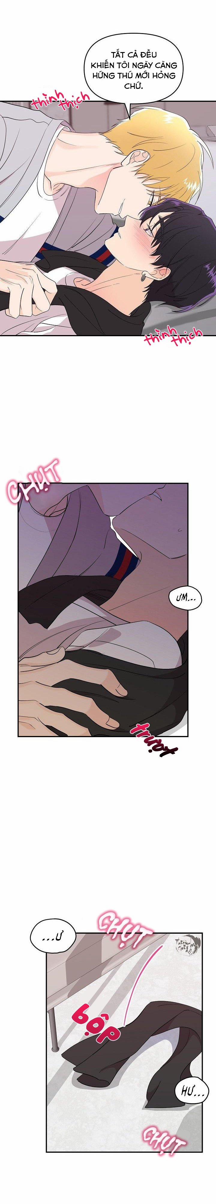 Hoa Ly Hổ 19 trang 6