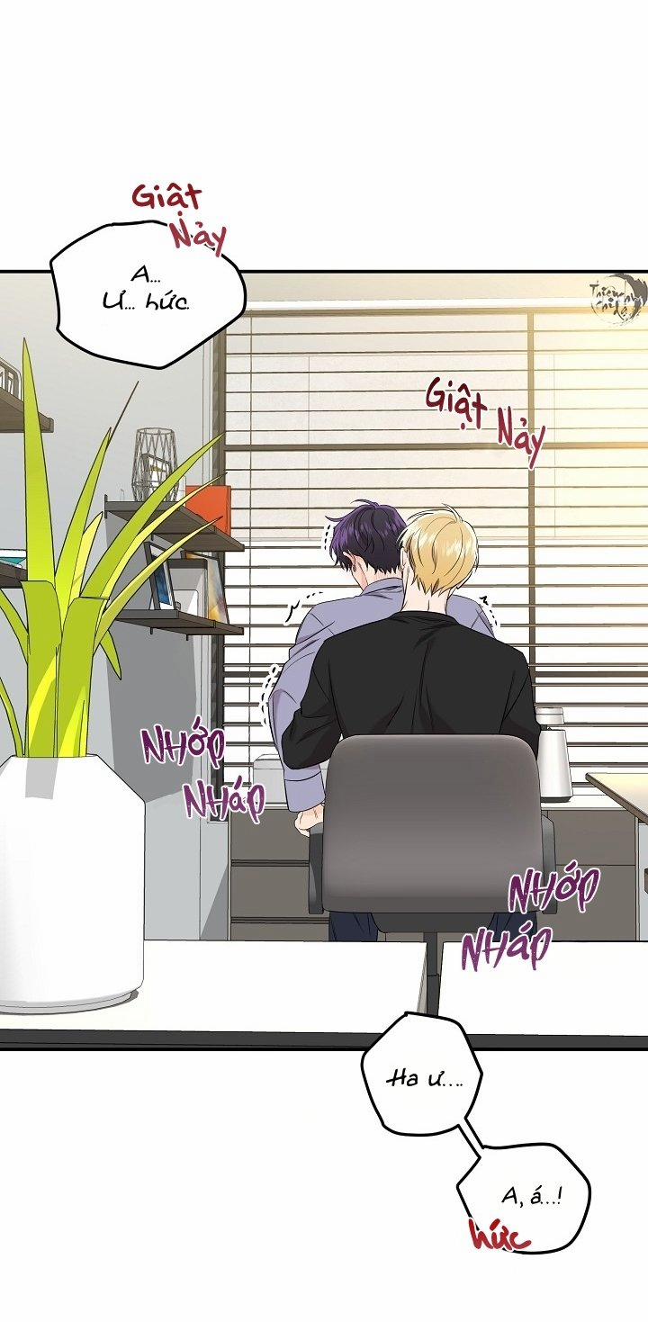 Hoa Ly Hổ 31 trang 35