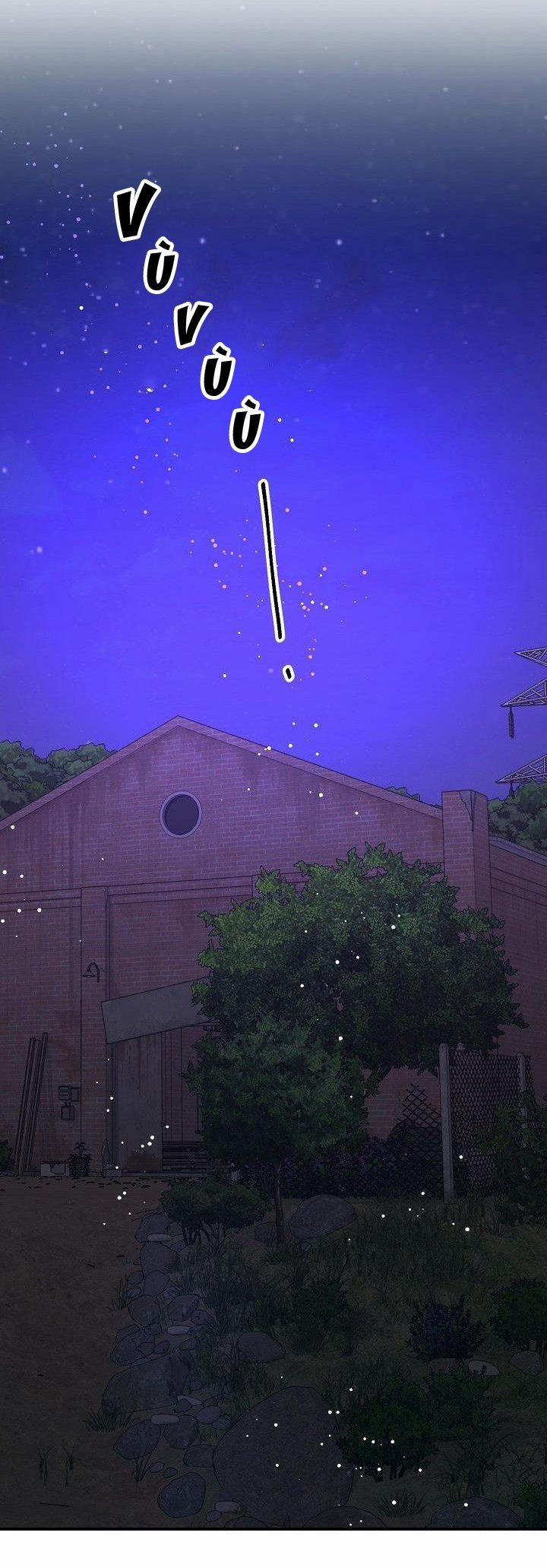 Hoa Ly Hổ 46 trang 10