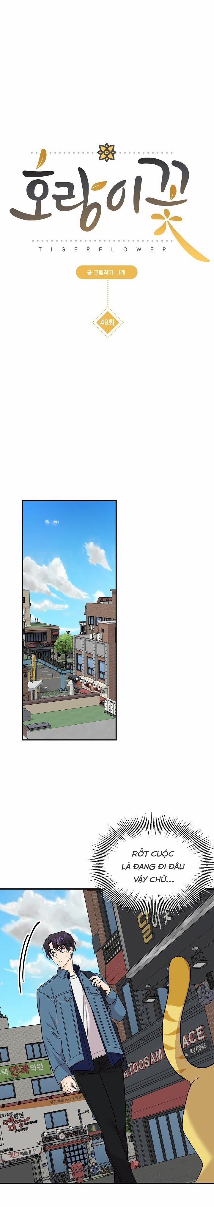 Hoa Ly Hổ 49 trang 7