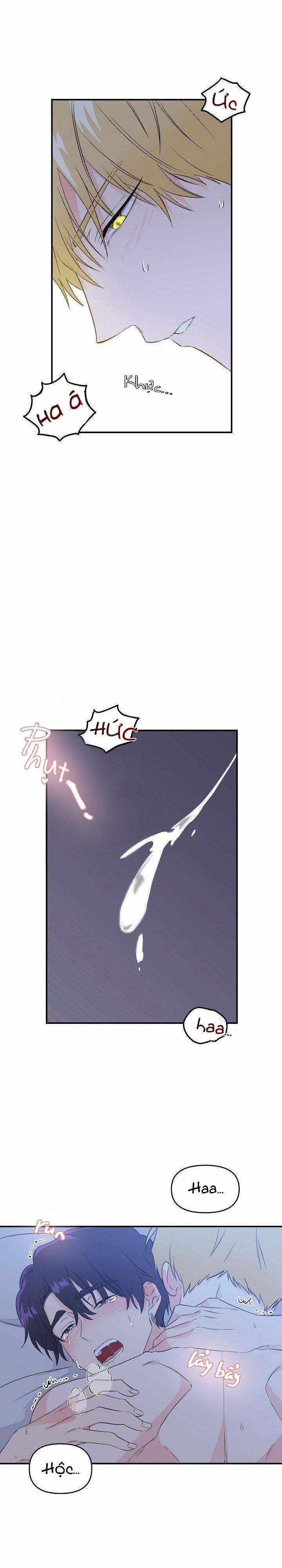 Hoa Ly Hổ 5 trang 19