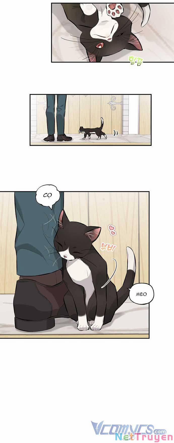 Hóa Ra Đó Chính Là Tình Yêu, Quỷ Vương! 16 trang 6