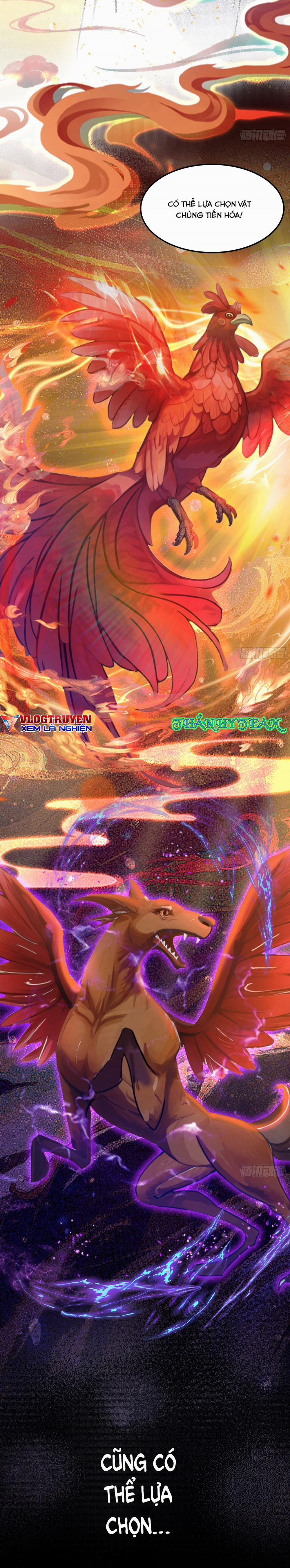 Hoá Ra Ta Đã Vô Địch Từ Lâu 1 trang 5