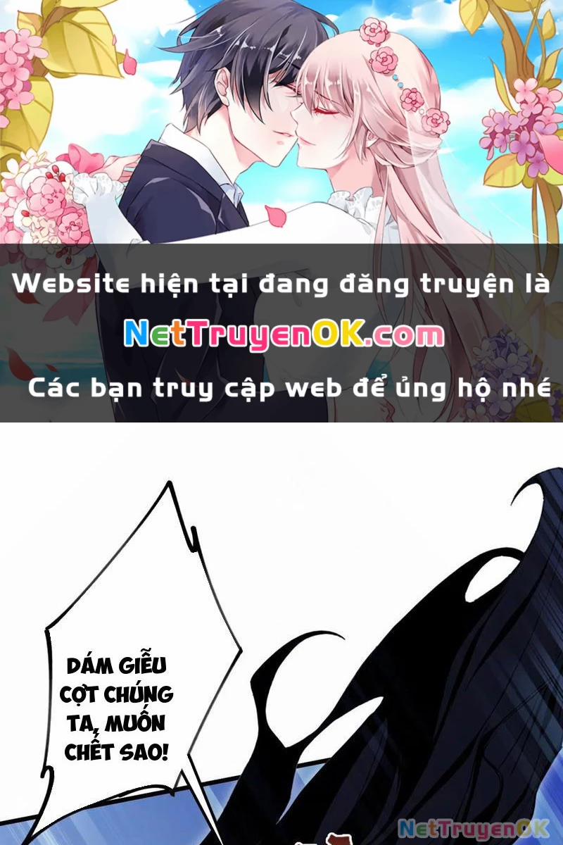 Hoá Ra Ta Đã Vô Địch Từ Lâu 218 trang 0