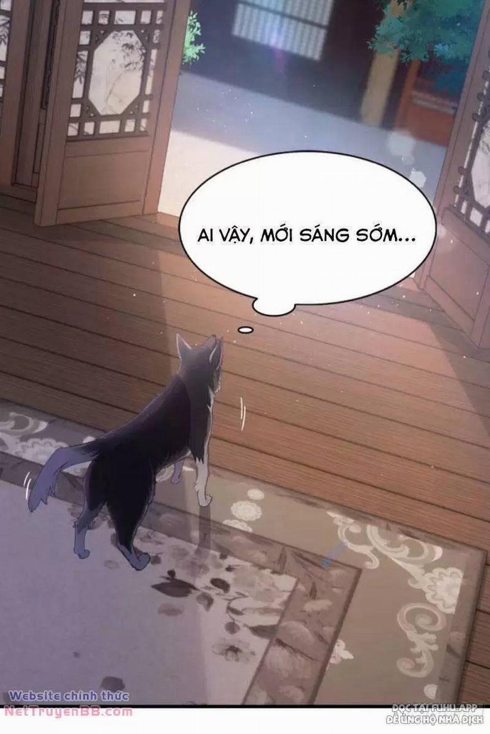 Hoá Ra Ta Đã Vô Địch Từ Lâu 23 trang 28