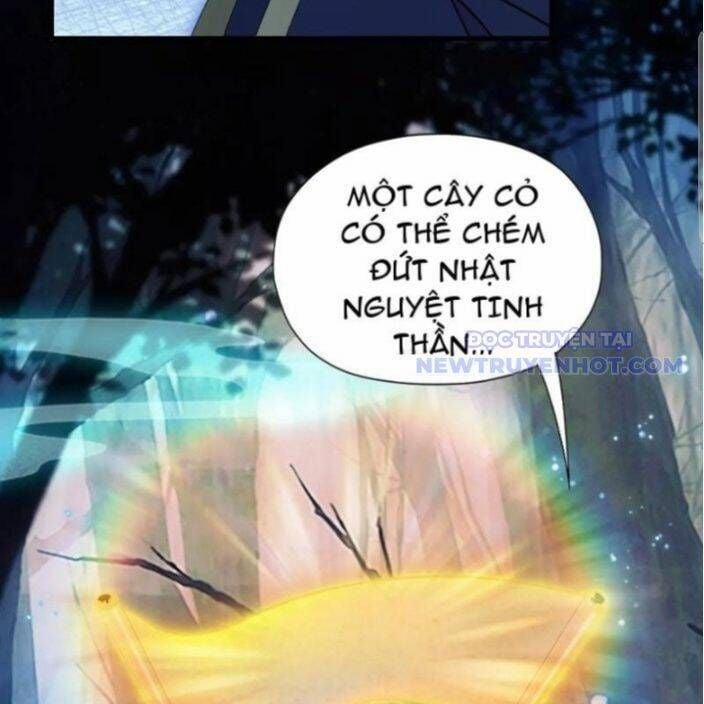 Hoá Ra Ta Đã Vô Địch Từ Lâu 246 trang 141