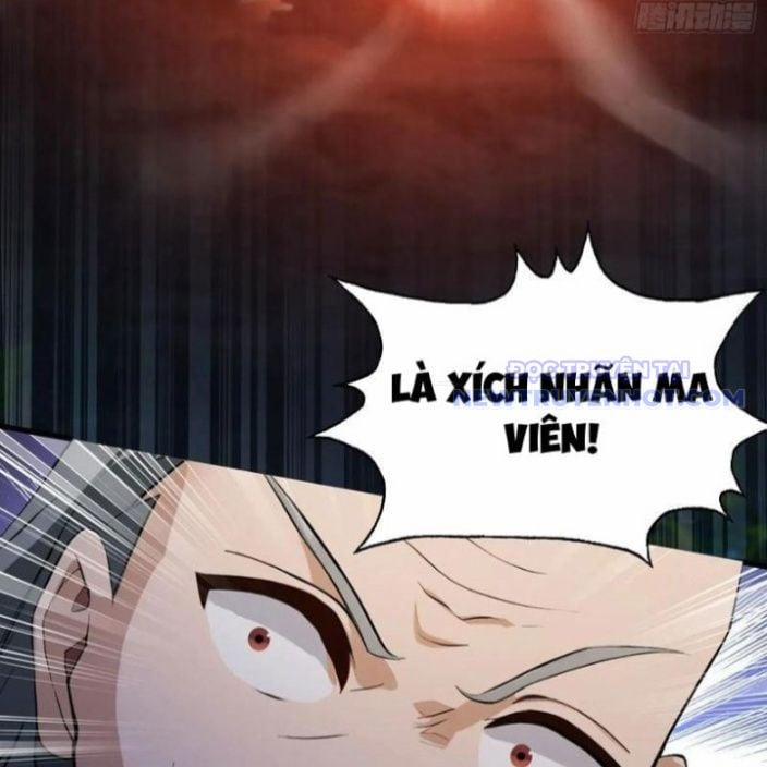 Hoá Ra Ta Đã Vô Địch Từ Lâu 247 trang 12