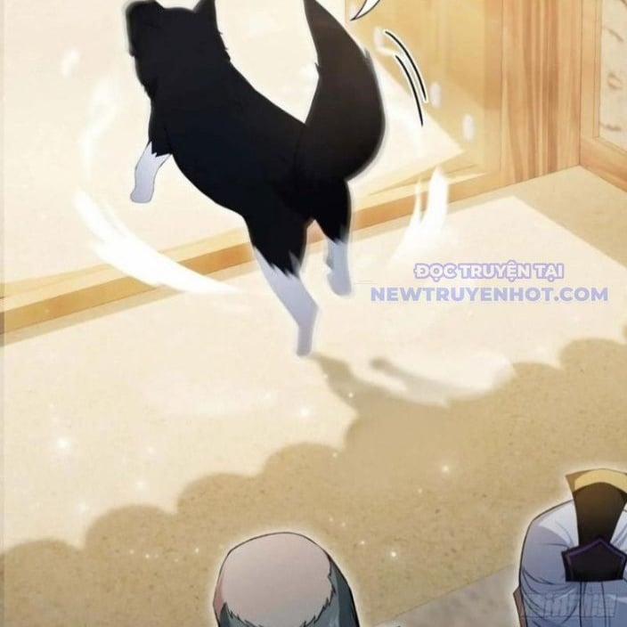 Hoá Ra Ta Đã Vô Địch Từ Lâu 249 trang 46