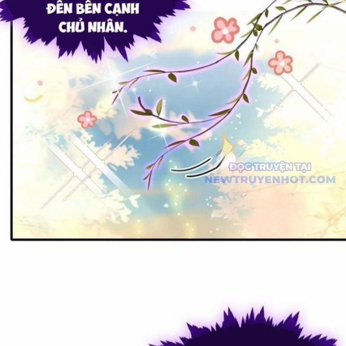 Hoá Ra Ta Đã Vô Địch Từ Lâu 250 trang 71