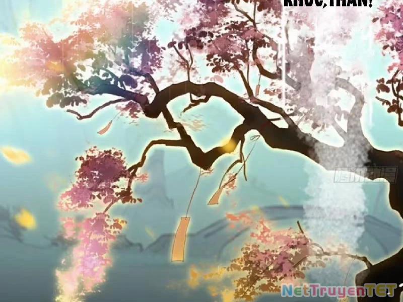 Hoá Ra Ta Đã Vô Địch Từ Lâu 251 trang 31