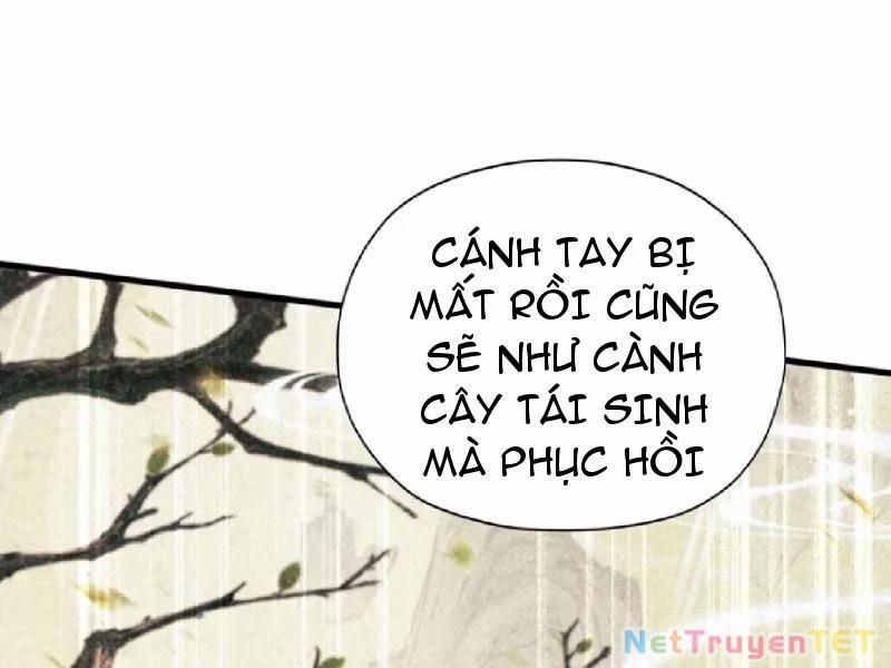 Hoá Ra Ta Đã Vô Địch Từ Lâu 251 trang 64