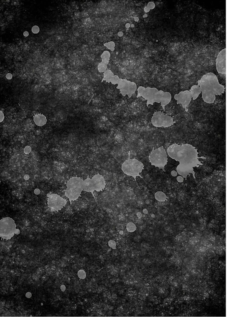 Họa Sĩ Sát Nhân 60 trang 22