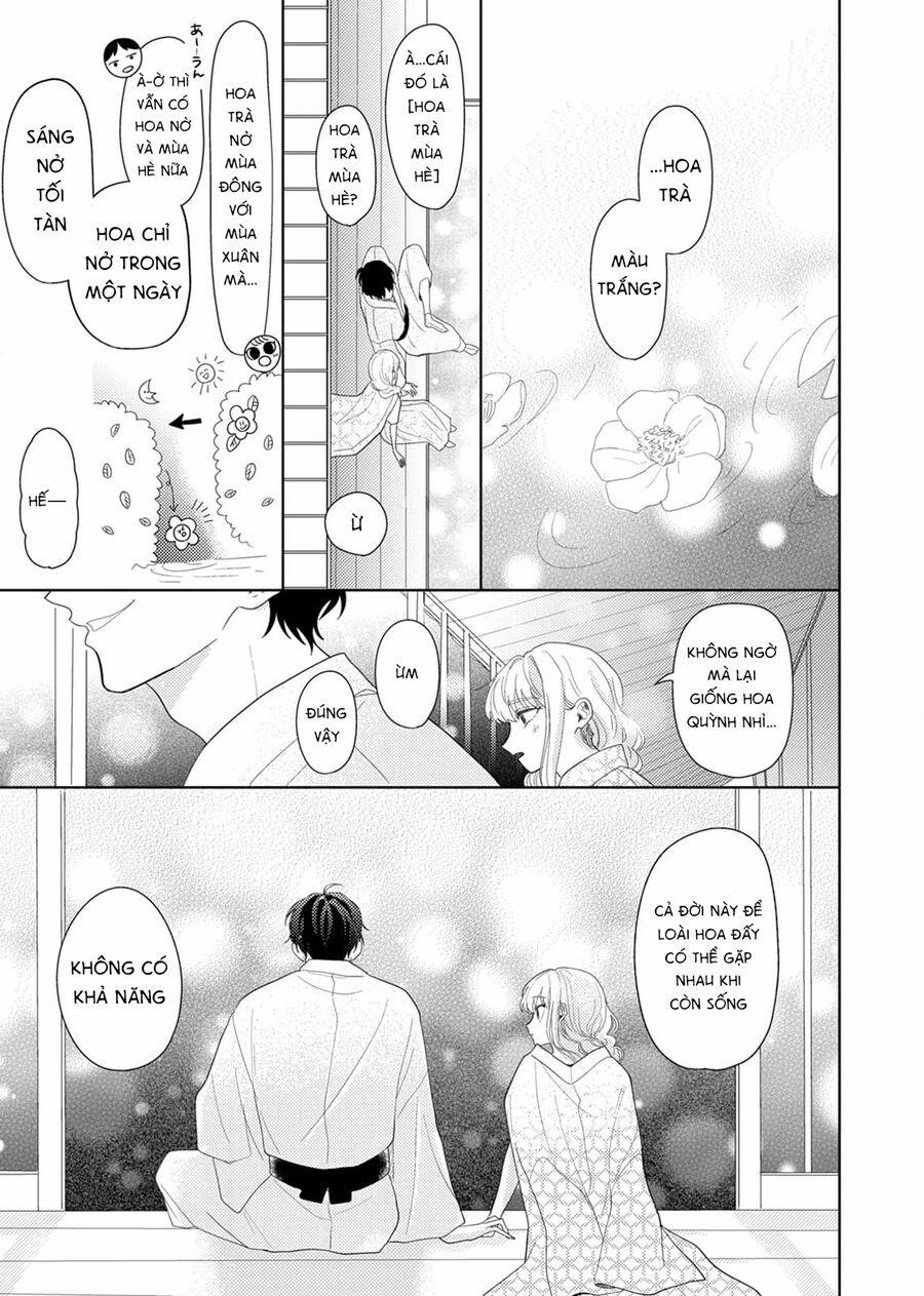 Hoa Trà Đợi Xuân Nở Yêu Thương 12 trang 26