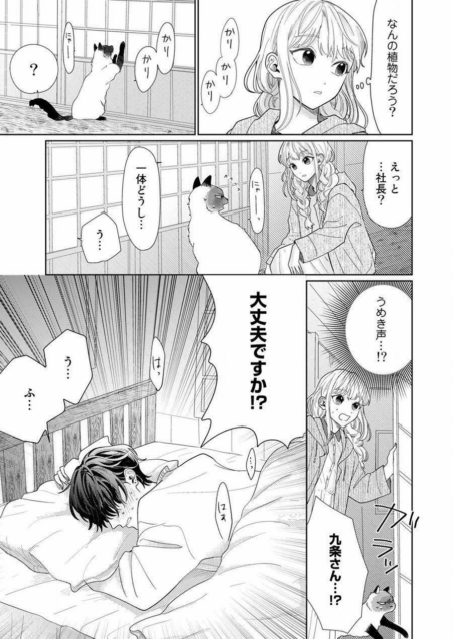 Hoa Trà Đợi Xuân Nở Yêu Thương 4 trang 24