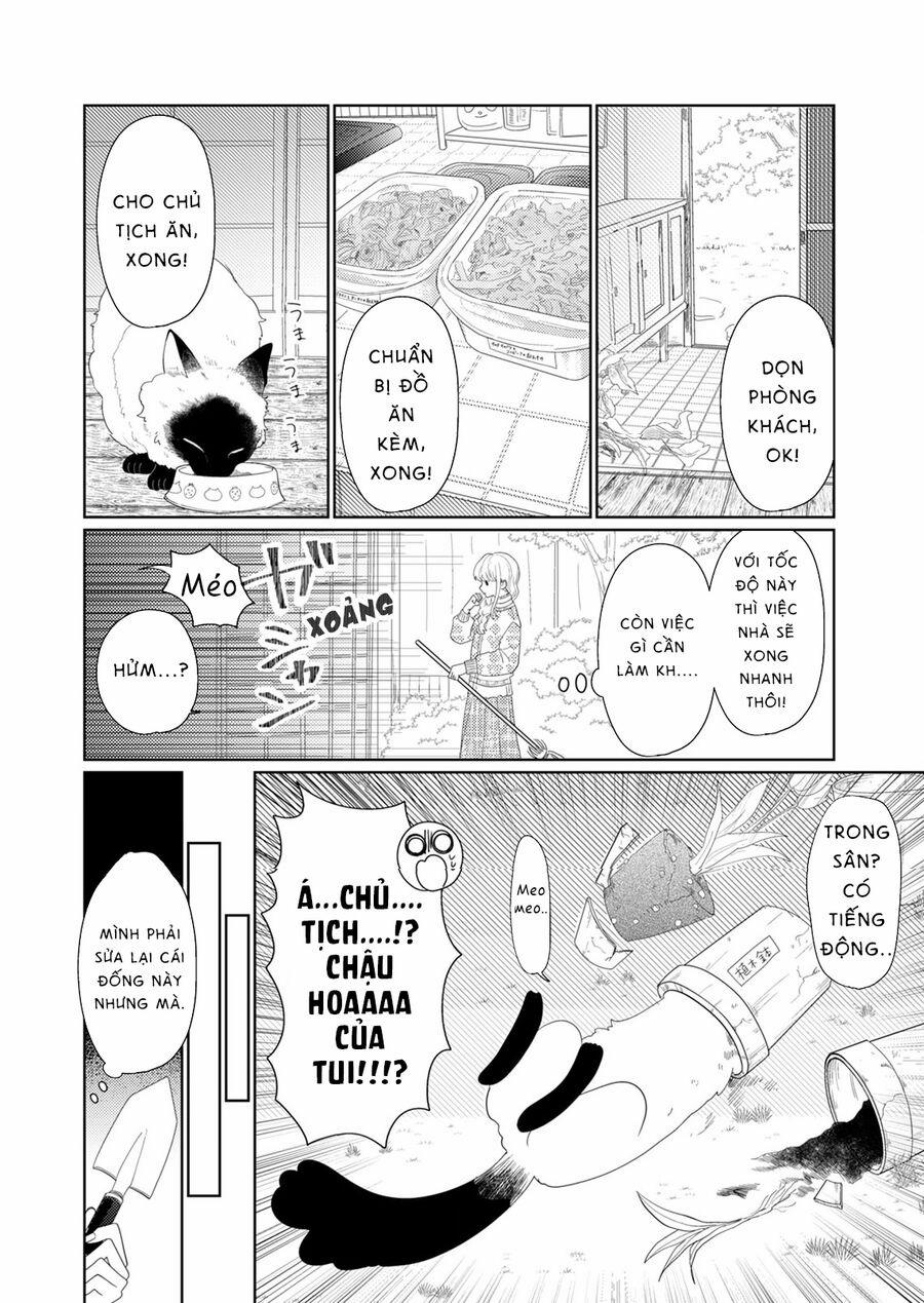 Hoa Trà Đợi Xuân Nở Yêu Thương 6 trang 14