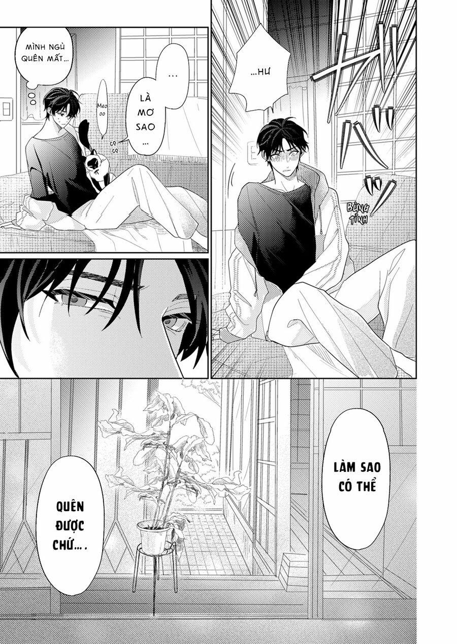 Hoa Trà Đợi Xuân Nở Yêu Thương 9 trang 12